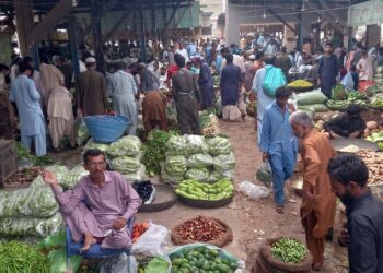 CM Punjab champions innovative ‘Sanjhi Sabzi’ project