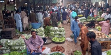 CM Punjab champions innovative ‘Sanjhi Sabzi’ project