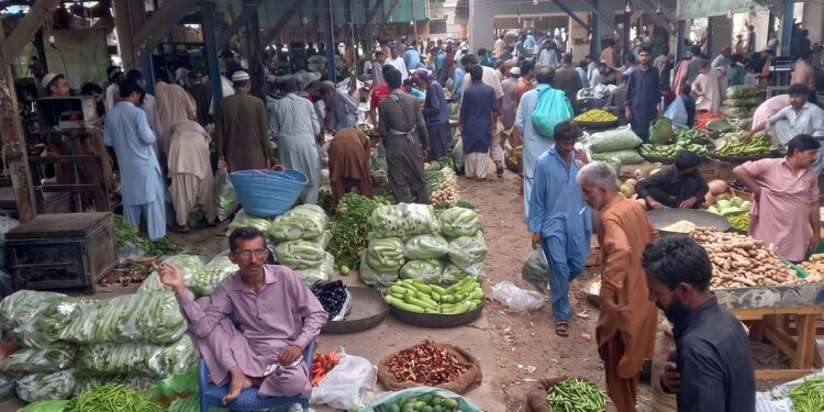 CM Punjab champions innovative ‘Sanjhi Sabzi’ project