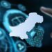 Pakistan's IT Exports Cross $4.6 Billion, Marking a Record-Breaking Year