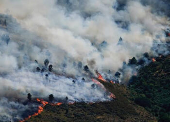 Spain declares emergency as fires force thousands of evacuations in France