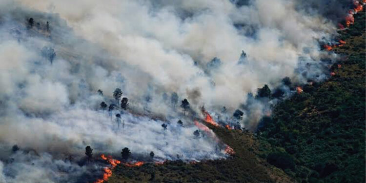 Spain declares emergency as fires force thousands of evacuations in France