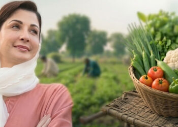 CM Punjab Launches Vegetable Farming on Govt Land for Deserving Families