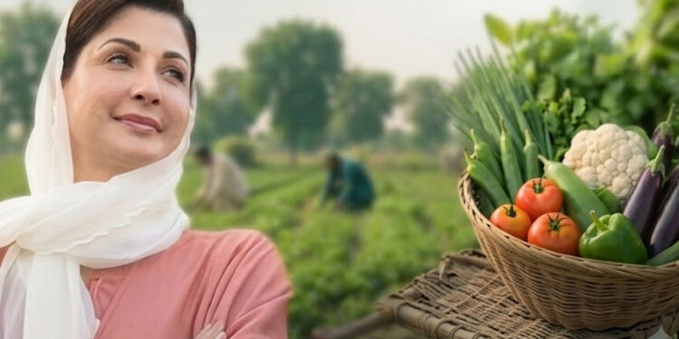 CM Punjab Launches Vegetable Farming on Govt Land for Deserving Families