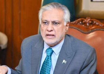 Deputy PM Ishaq Dar Reviews Pakistan-Indonesia Health Sector Collaboration