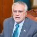 Deputy PM Ishaq Dar Reviews Pakistan-Indonesia Health Sector Collaboration