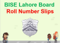 Bise lahore Roll.no slip