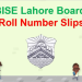 Bise lahore Roll.no slip