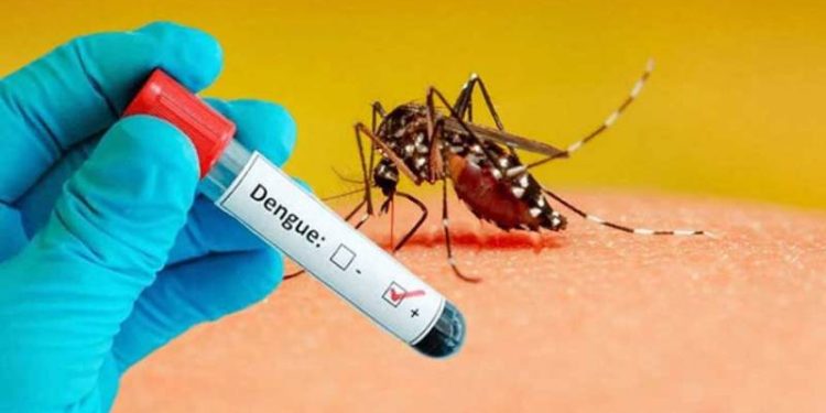 Dengue