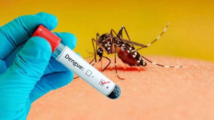 Dengue