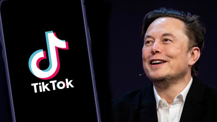 Elon Musk has no interest in buying tiktok