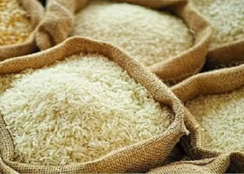Government Approves Rs15 Billion Support for Rice Exporters with Strict Oversight