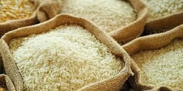 Government Approves Rs15 Billion Support for Rice Exporters with Strict Oversight