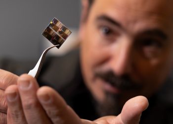 Grain of salt size robot