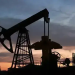 Oil Prices steady