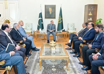 PM Shehbaz directs roadmap for US