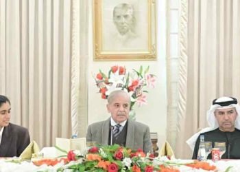 PM says Pak-UAE ties heading towards effective economic cooperation