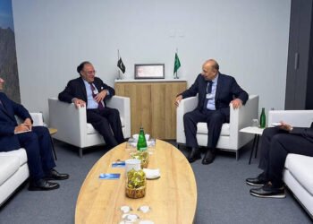 Pakistan and Saudi Arabia Enhance Economic and Bilateral Relations at Davos