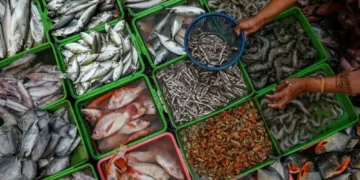Pakistan’s seafood export jumps to $253mn in 1HFY26, up 22%