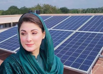 Punjab Announces Free Solar Panels After Physical Verification