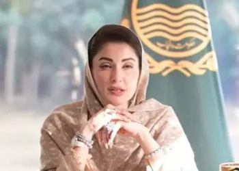 Punjab CM Maryam Nawaz Issues Strict Warnings Ahead of Basant Festival in Lahore