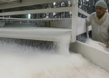 Punjab Sees Significant Increase in Sugar Production This Season