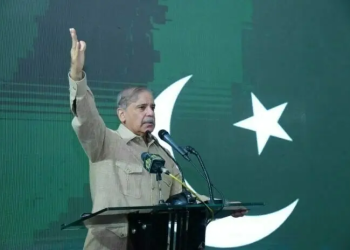 Shehbaz sharif electricity relief