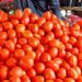 Tomato prices high