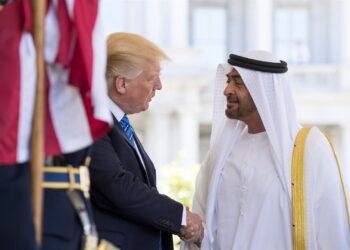 UAE President Accepts Invitation to Join US Board of Peace, Foreign Ministry Says