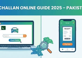 How to Check E-Challan Online in Pakistan