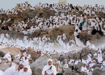 ‘Very blessed’: Muslim pilgrims pray at Mount Arafat in Haj apex