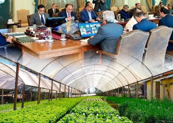 Agriculture sector being developed on modern lines: PM