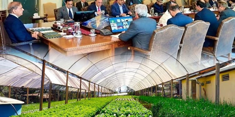 Agriculture sector being developed on modern lines: PM