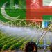 Pakistan, Oman agree to develop joint agricultural projects