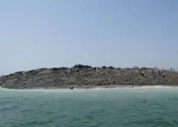pakistan-plans-to-develop-ziarat-hassan-shah-island-as-eco-tourism-hub-near-karachi-news