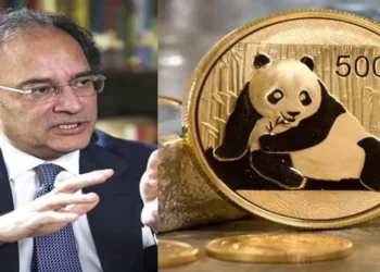 Pakistan to Launch First Panda Bond Amid Ongoing Economic Reforms