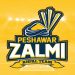 Peshawar Zalmi Squad PSL 10: Announced Complete Players List for 2025