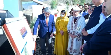 pm shehbaz hails pakistan's position